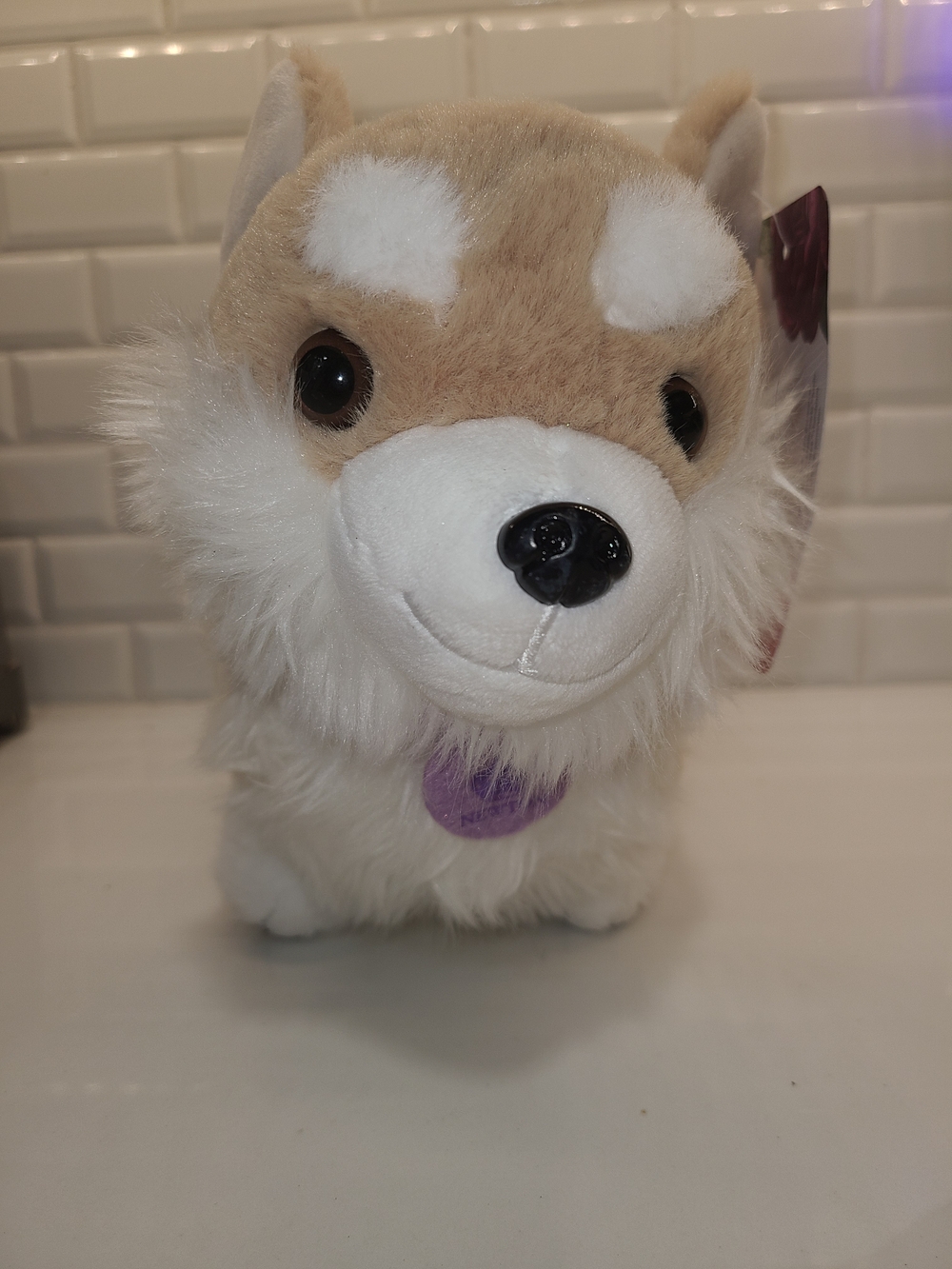 Bridgeton Tan & White Plush Corgi Dog Toy - Picture 2 of 5